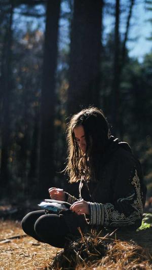 360seo查询工具截图1