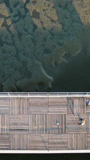 蜘蛛池是自动采集的吗截图2