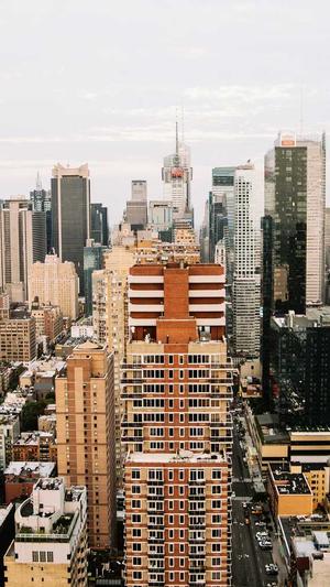 seo站长工具较多收藏截图2