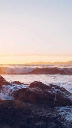 寄生虫站群于泛目录截图2