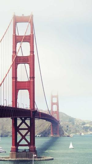 泛域名解析绑定目录截图2