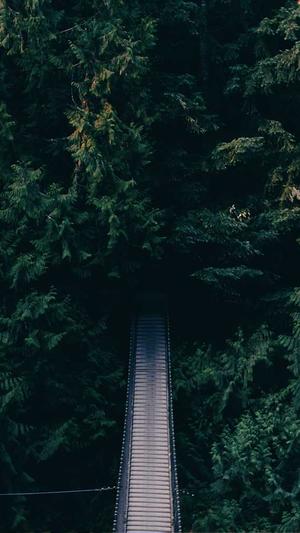 建设银行网站截图2