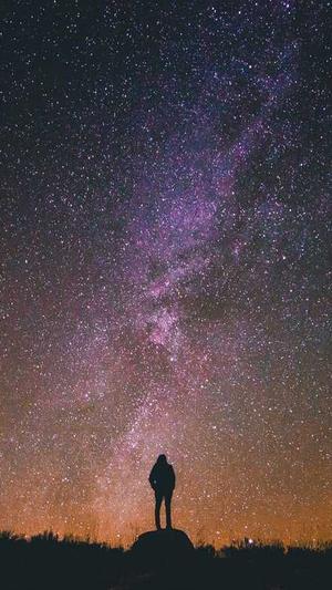 seo有哪些工具截图2