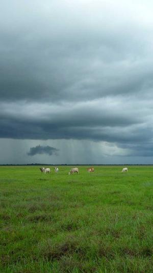 网站建设方案下载截图1