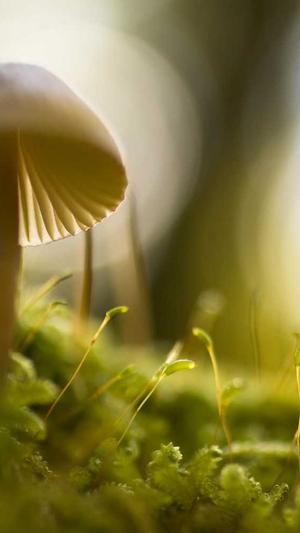 广东蜘蛛池出租服务截图5