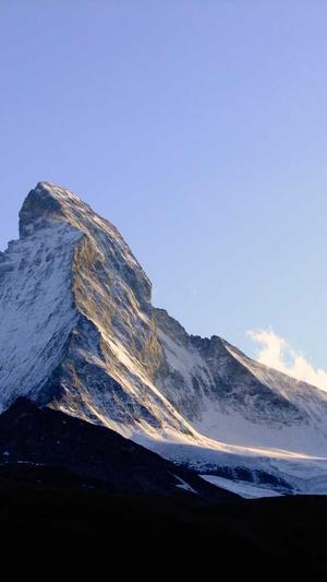 免费seo工具截图2