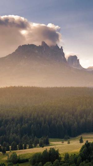 seo常用工具优化截图2