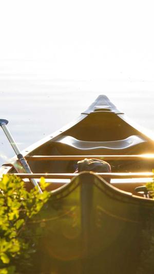 seo工具app 分类截图2