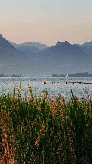 凤城seo工具截图2