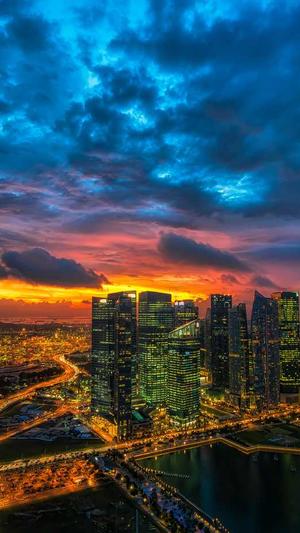 蜘蛛池在什么位置好截图5