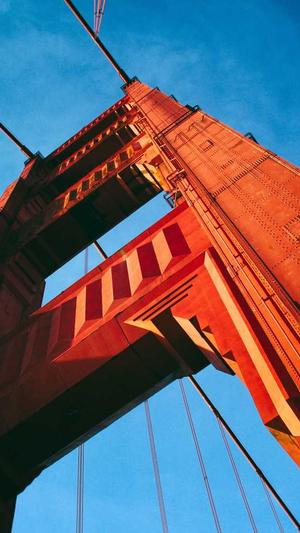 蜘蛛池价格全会zjkwlgs截图5