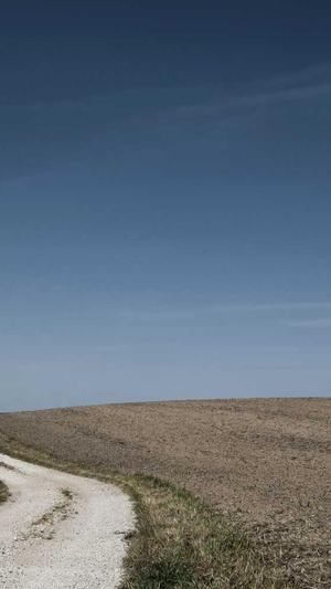 seo常用工具有哪些截图2