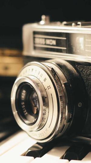 室内蜘蛛池搭建图集截图5