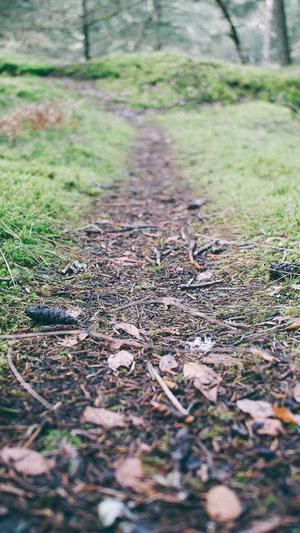 自动seo工具截图3