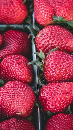 seo泛目录怎么操作留痕截图1