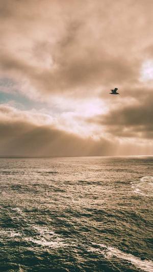 网站建设资料截图2