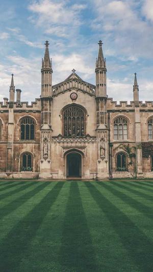 排名seo优化工具截图1