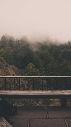 重庆网站建设来沛宣截图4