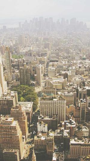 蜘蛛池 霸屏截图2