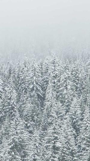 商丘网站建设截图2