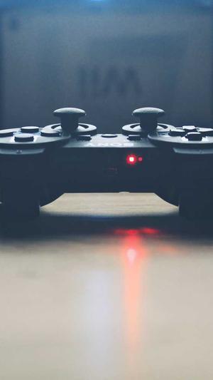 广东蜘蛛池出租服务截图3