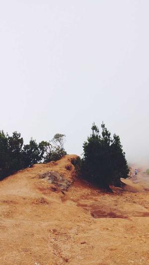 蜘蛛池是什么池子截图1