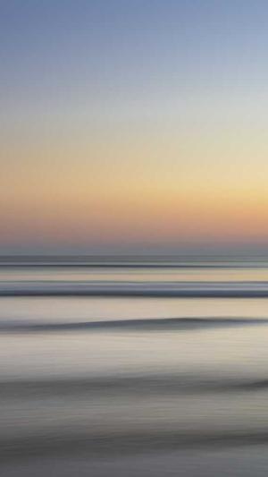 蜘蛛池引蜘蛛怎么处理截图2