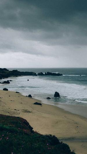 上海政府网站建设截图2