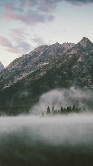 seo有哪些工具截图3