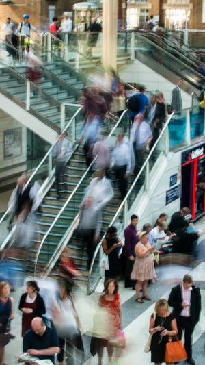 泛目录是什么网站截图5