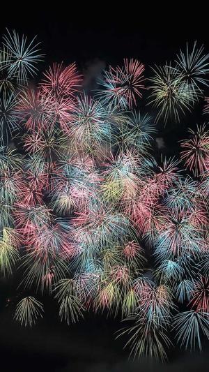 seo专业测评工具截图2