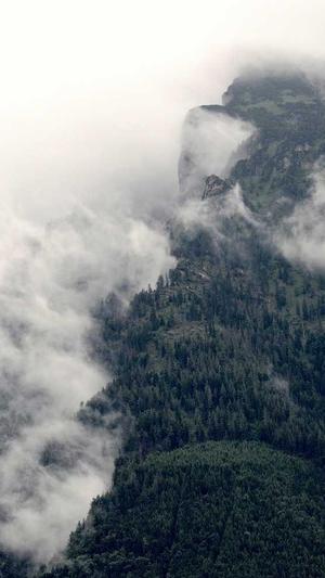 蜘蛛池网址截图4