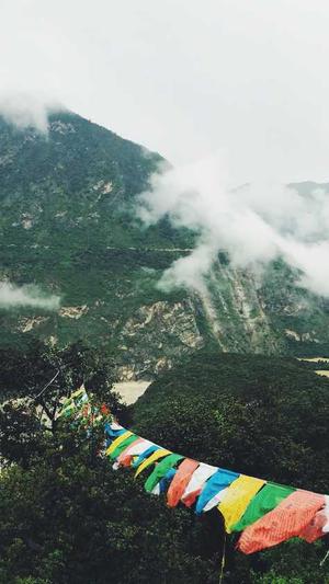 蜘蛛池的好处和坏处截图2