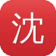 沈阳seo优化图标